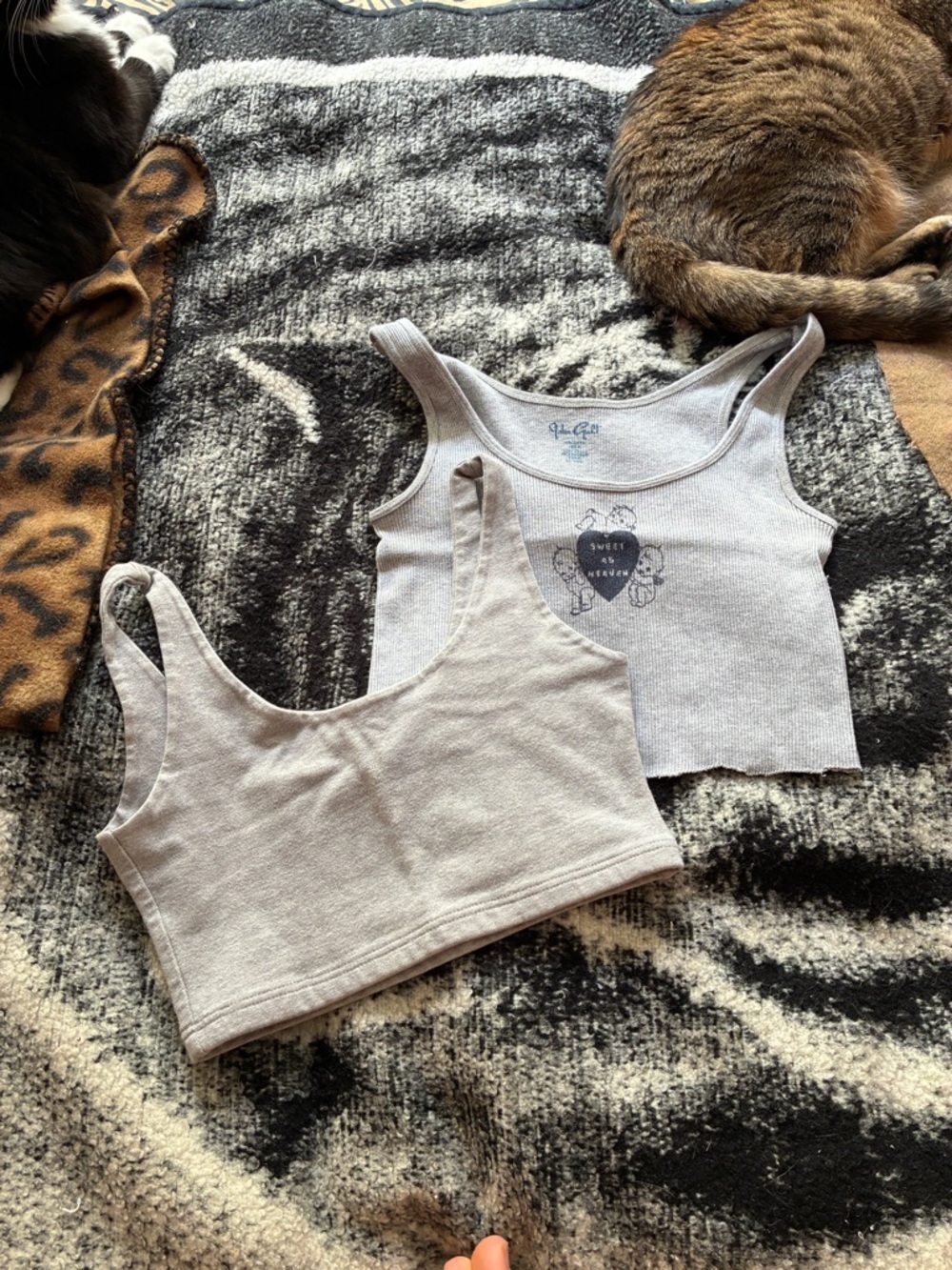Brandy/john galt crop top bundle, one size best fits s/m